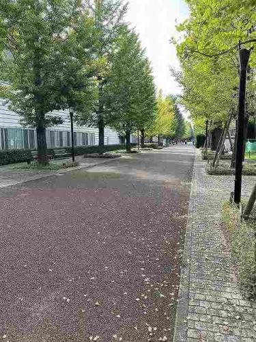 【本日開催】東京・昭島モリパーク いちょう並木てづくり市